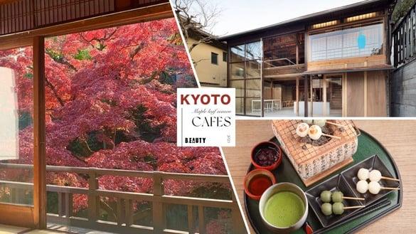 2023京都枫叶季开跑！6间赏枫必去京都咖啡厅，日本“最美蓝瓶咖啡”也在这！