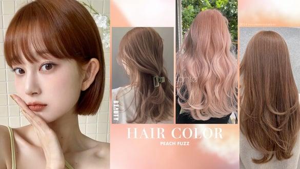2024染发发色趋势公开！Pantone柔和桃发色范本，杏桃奶茶超显嫩、这款黄肌染完超显白