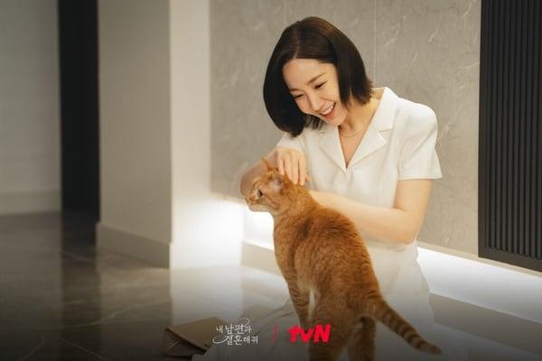 你的“MBTI动物人格”是什么？陆网超夯心理测验，12题测你的MBTI人格跟哪种动物最相似