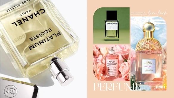 2024开运香水推荐：柑橘调可提升金钱运、招桃花喷“这三款”绝不出错！