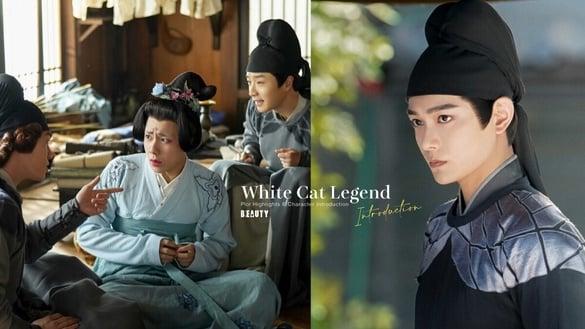 《大理寺少卿游》剧情五大看点＆角色介绍：丁禹兮变身白猫破案、剧情搞笑又悬疑！