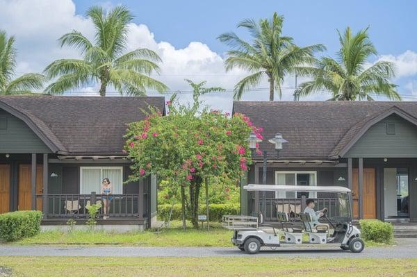 2024春季饭店住宿优惠盘点：丘丘森旅推萤火虫住宿、高雄汉来HelloKitty生日专案送娃娃