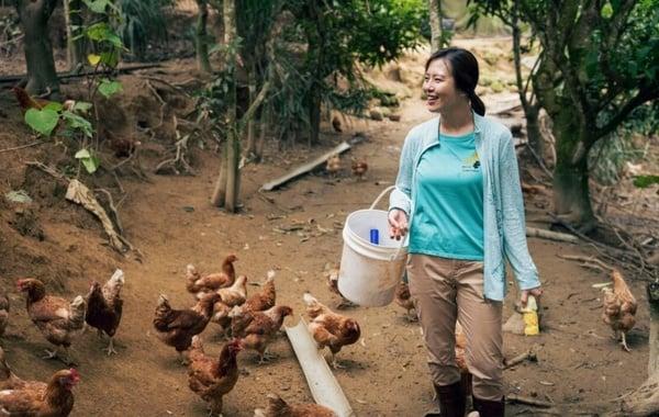 中国台湾电视剧女星近年高分作品！林依晨《不够善良的我们》7.9，杨谨华《一把青》8.4，这部8.6 娱乐 图6张