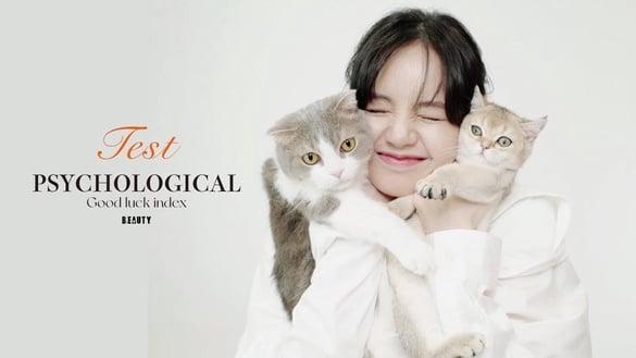 你近期的好运指数？日网超准心理测验，直觉选择一只猫咪，测出你的未来运势＆近期心境