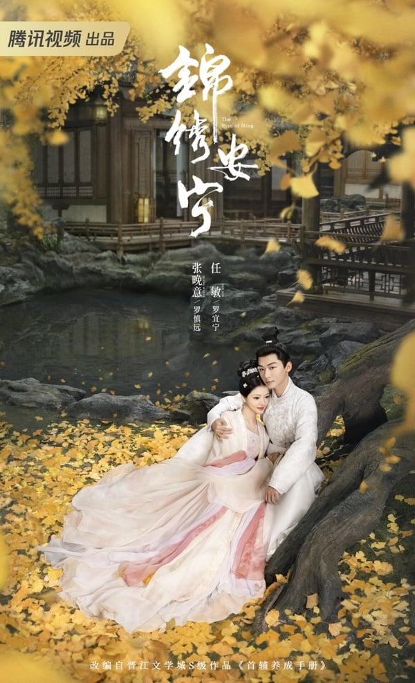 《锦绣安宁》剧情五大看点＆角色介绍