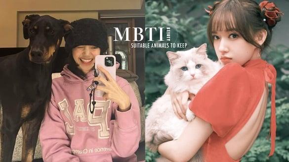 MBTI16人格适合养哪种猫狗？INFP适合养拉布拉多、INFJ黄金猎犬，“这人格”与杜宾最搭