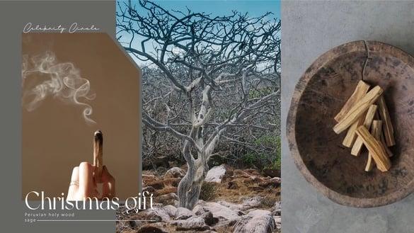 秘鲁圣木的隐藏用法！圣木具净化避邪功效、去除负能量，最佳使用方法＆圣木品牌推荐！