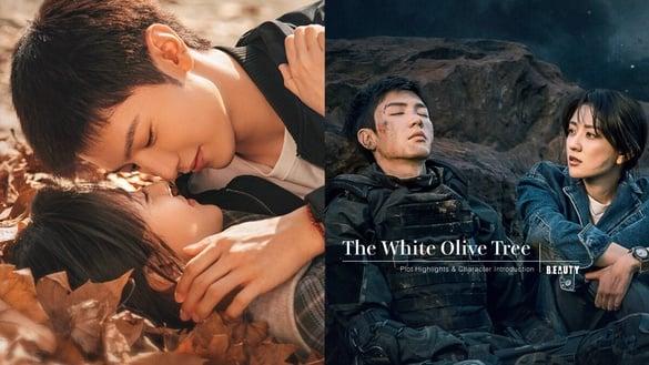 《白色橄榄树》剧情五大看点＆角色介绍：陈哲远化身爆破军人，与记者梁洁战地中相爱！