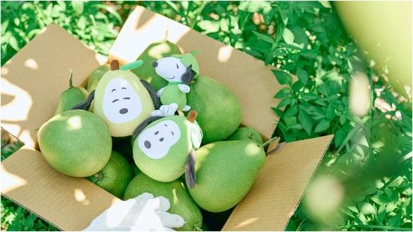 史努比粉必买！威秀把史努比变柚子“柚子史努比Q版玩偶”登场，独家限量“这天”开卖