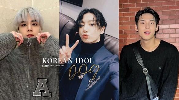 韩网热议8位人气犬系男偶像：SEVENTEEN 珉奎根本哈士奇化身，他是“最像人的小狗”？