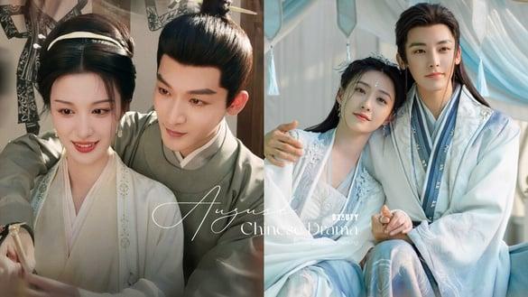 八月电视剧网播量TOP10！《私藏浪漫》2.5亿，《柳舟记》5亿才第五，冠军唯一破10亿大关