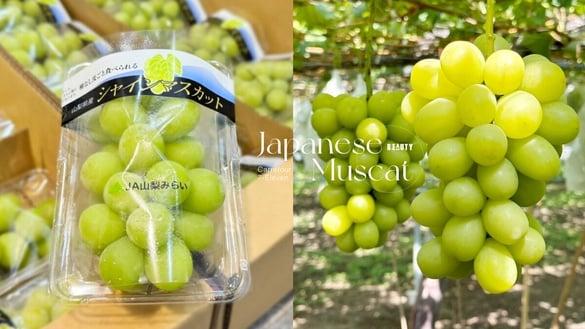 开吃日本麝香葡萄！7-11开卖多款麝香葡萄，日本直送超新鲜！家乐福顶级礼盒免千元入手