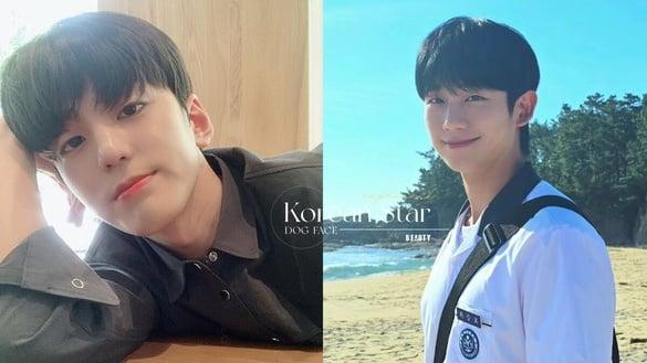 狗狗相代表韩星！《妈朋儿》丁海寅、金旻奎、朴炯植都是阳光大型犬，这位更撞脸萨摩耶