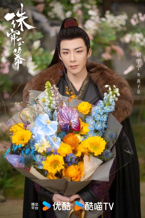 赵露思新剧《珠帘玉幕》剧情看点&amp;amp;amp;amp;amp;amp;amp;amp;amp;amp;amp;amp;amp;amp;amp;amp;amp;amp;amp;amp;amp;amp;角色介绍