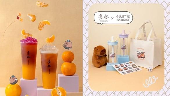 卡比胖拉顶着橘子一起变身了！参杯X卡比胖拉联名饮品新登场，周边饮料提袋噂嘟太萌了~