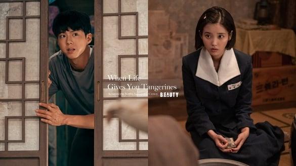 《苦尽柑来遇见你》力压《难哄》登Netflix冠军！IU&朴宝剑演技封神，连韩国长辈都超爱
