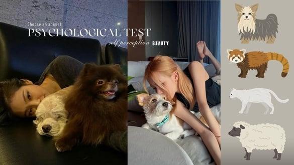 日网超准心理测验！选三种动物，看出你的“真实性格、他人怎么看你、对自己的看法”！