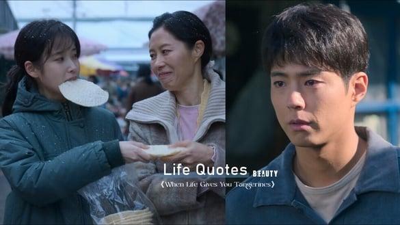 《苦尽柑来遇见你》人生金句:“不要退而求其次,要活出最充实的人生。”(持续更新)