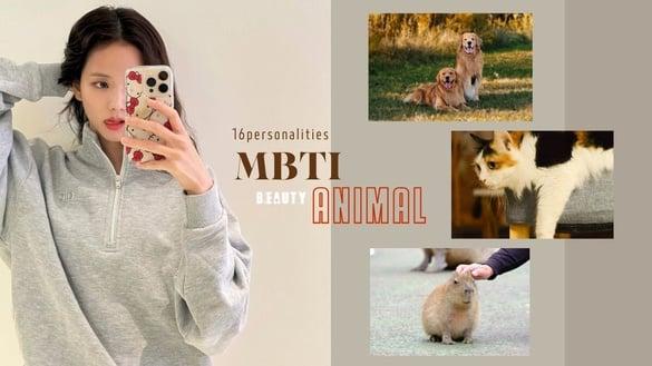 你知道自己像什么动物吗？MBTI人格“对应的动物”公开！ISFP完全是卡皮巴拉！