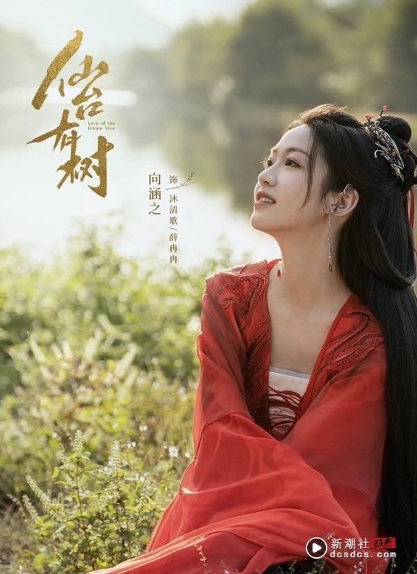 《仙台有树》剧情五大看点＆角色介绍：