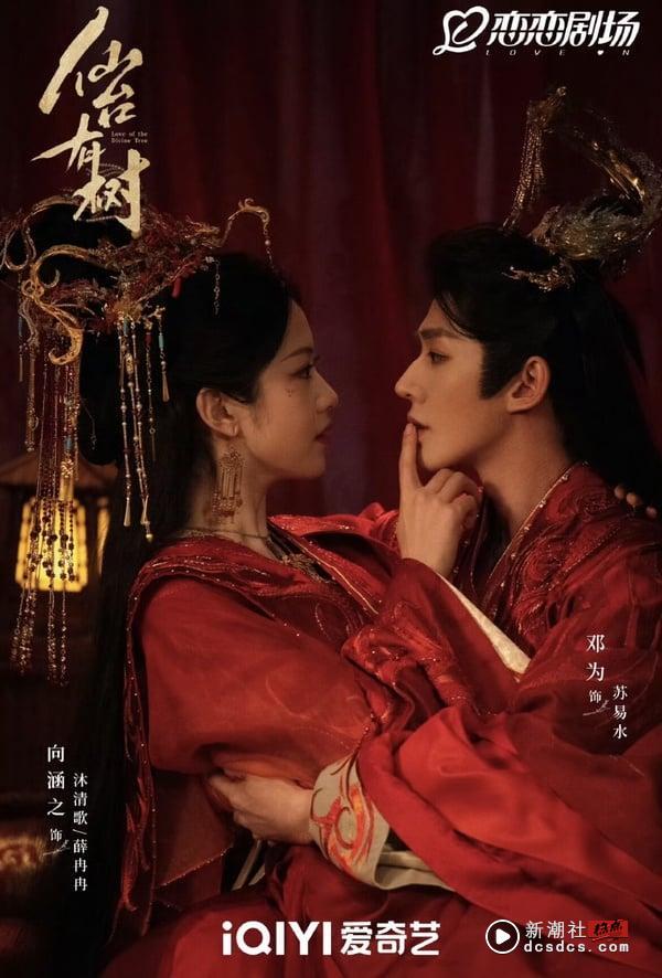 《仙台有树》结局、剧情五大看点＆角色介绍：邓为、向涵之两世师徒虐恋动人心弦！