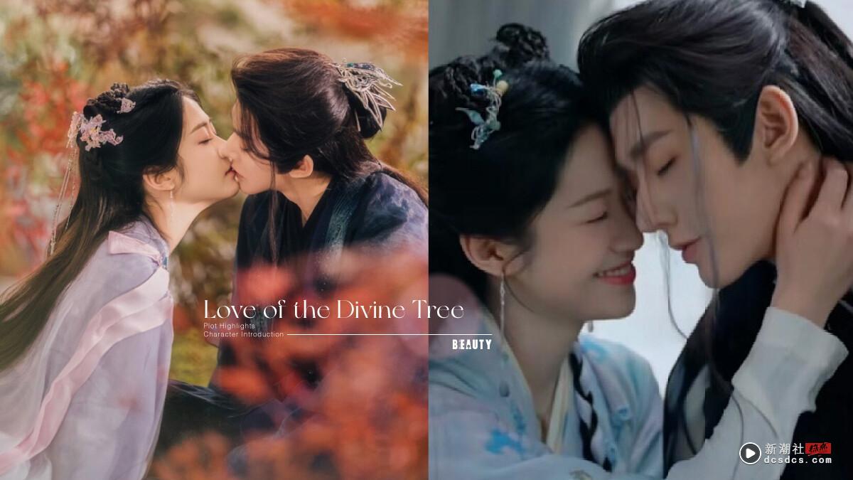 《仙台有树》结局、剧情五大看点＆角色介绍：邓为、向涵之两世师徒虐恋动人心弦！