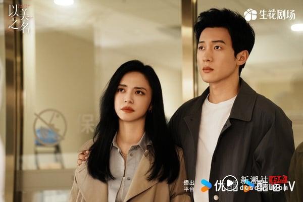 《以美之名》剧情围绕医美展开，姚晨和贾静雯饰演一对宿敌，两人势均力敌又彼此欣赏，双女主火花十足啊！剧情也有内容，剧中出现在整形外科的病人有各自的困扰，有些人为了“更美”而来，有些人却因医美而救赎身心，剧本确实不错，题材也新颖，豆瓣评分6.8分。