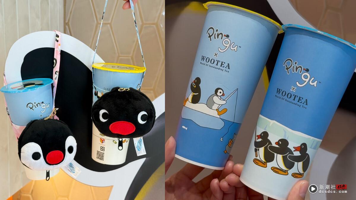 买一送一！五桐号联名Pingu企鹅家族：超萌企鹅盲盒周边、联名杯通通要收