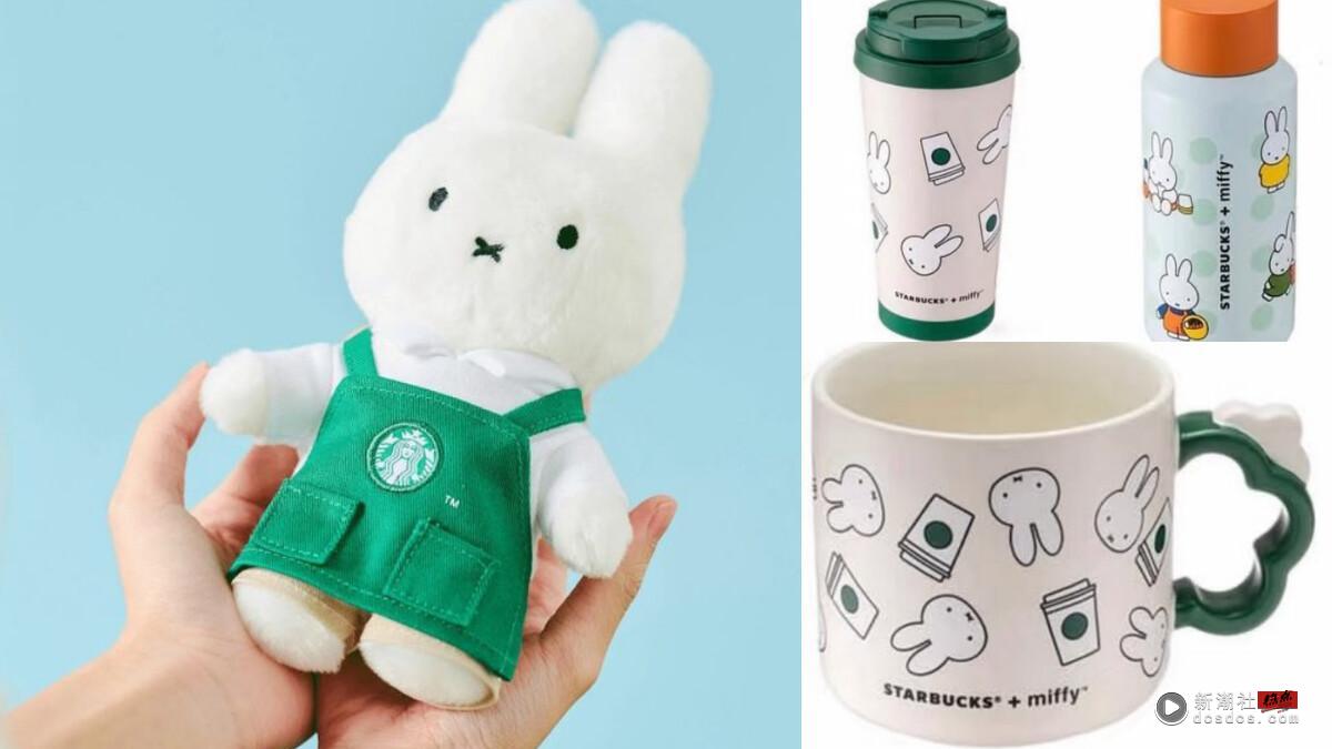 中国台湾买得到!星巴克联名米飞兔Miffy推周边“这天”开卖,随行杯、马克杯、玩偶要收!