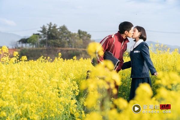 2025韩剧推荐！韩剧排行榜前十名，Netflix、最新韩剧线上看片单