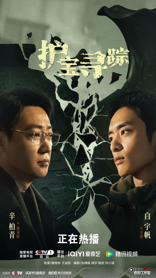 《护宝寻踪》是一部在讲考古和盗墓的冒险剧，讲述考古系研究生方堃，在协助追索海外流失文物时，发现白鹿原尹村的一处墓穴可能是不为人知的高等级帝陵。尹村未知墓穴引发考古界关注，也引起犯罪分子的觊觎，几位主角与文物犯罪团伙斗智斗勇。