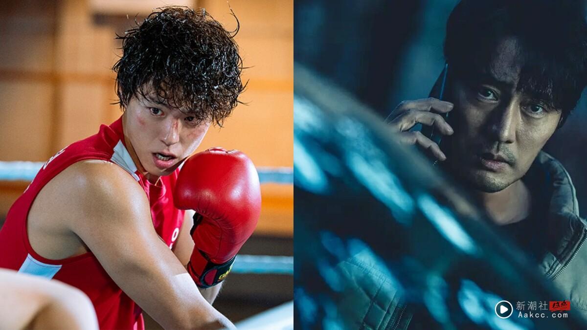 《健将联盟》不够爽?10部“从头爽到尾”韩剧!《无赦之仇》必追,最后两部才真痛快