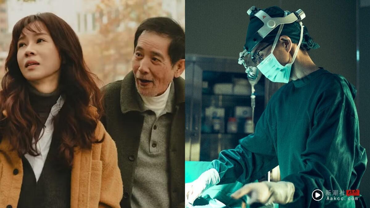 2025上半年中国台湾电视剧Line评分排行榜TOP10！《我们与恶的距离2》第四，冠军9.7分一面倒好评