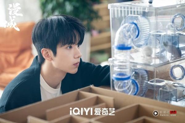 2025电视剧男主涨粉量TOP10！《折腰》刘宇宁76万第二，《难哄》白敬亭才第四，冠军是他 娱乐 图1张