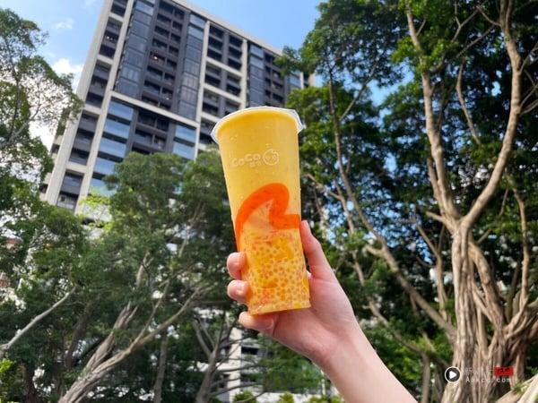 2025 CoCo 都可菜单推荐！网评必喝Top10、最新菜单＆价格一次看 最新 图4张