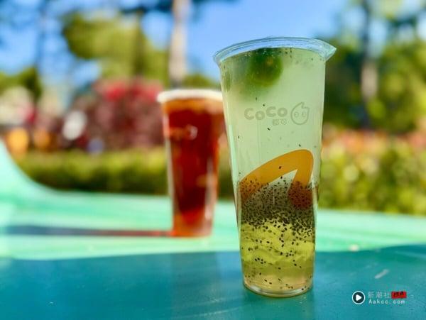 2025 CoCo 都可菜单推荐！网评必喝Top10、最新菜单＆价格一次看 最新 图8张
