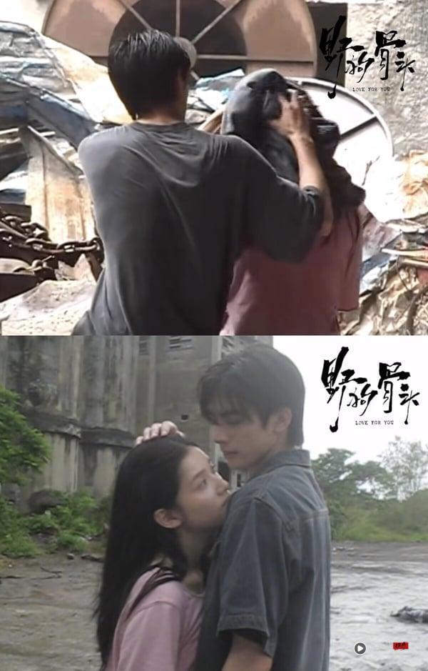 《野狗骨头》剧情＋角色看点：张婧仪&宋威龙谈伪骨科恋、《点燃我，温暖你》导演新作 娱乐 图4张