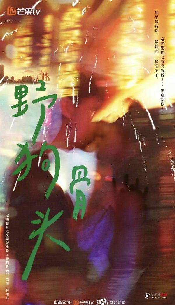 《野狗骨头》剧情＋角色看点：张婧仪&宋威龙谈伪骨科恋、《点燃我，温暖你》导演新作 娱乐 图2张