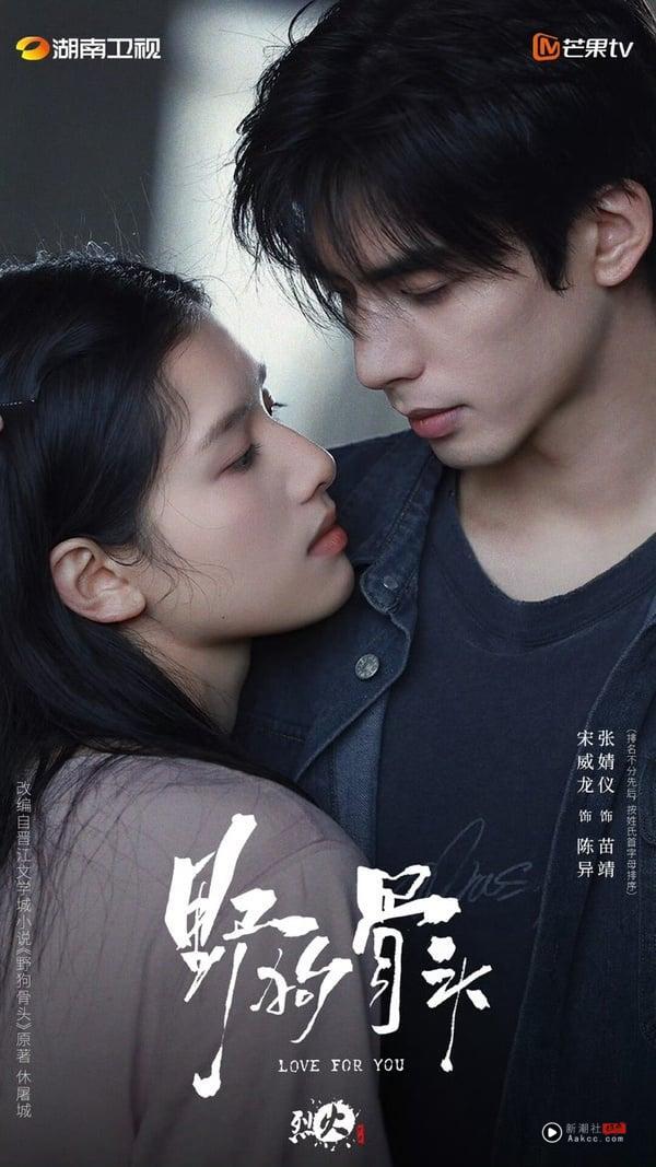 《野狗骨头》剧情＋角色看点：张婧仪&宋威龙谈伪骨科恋、《点燃我，温暖你》导演新作 娱乐 图1张