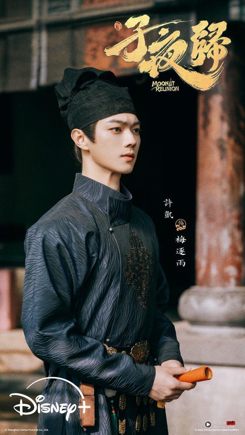 13部“Netflix没播但错过可惜”电视剧！Disney+必追肖战《藏海传》，《子夜归》全网期待 娱乐 图5张