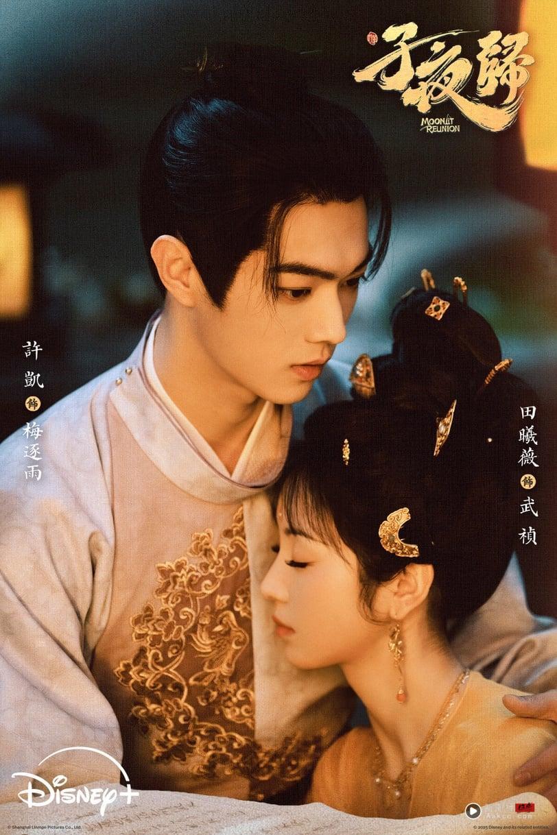 13部“Netflix没播但错过可惜”电视剧！Disney+必追肖战《藏海传》，《子夜归》全网期待 娱乐 图4张