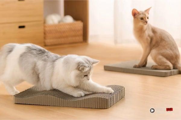 MUJI无印良品“质感宠物用品”推荐：极简美型、耐用好清洁，毛孩肯定满意！ 最新 图8张