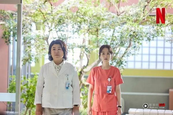 Netflix《未知的首尔》7位实力派演员介绍！她比朴宝英还狂，百想&青龙&大钟影后全包办 娱乐 图3张