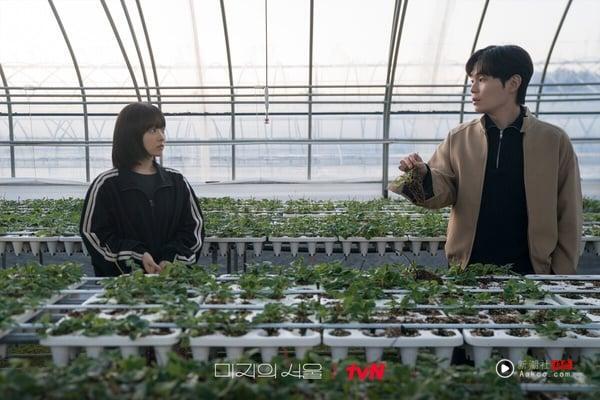 8部“重启人生”题材韩剧！《未知的首尔》精彩封神，还有2部冷门好剧“一面倒零负评” 娱乐 图3张