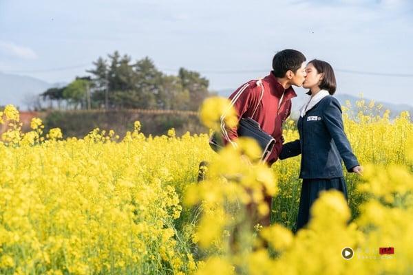2025 韩剧推荐22部！韩剧排行榜，Netflix、最新韩剧线上看片单 娱乐 图1张