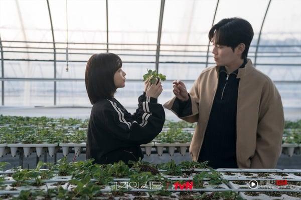 2025第二季韩剧“首播收视”TOP10！《未知的首尔》第8输《牵牛和仙女》，冠军唯一破9% 娱乐 图10张