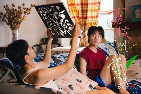 2025上半年短剧评分TOP10！《好一个乖乖女》6.7分，冠军8.2分比《藏海传》还高 娱乐 图6张