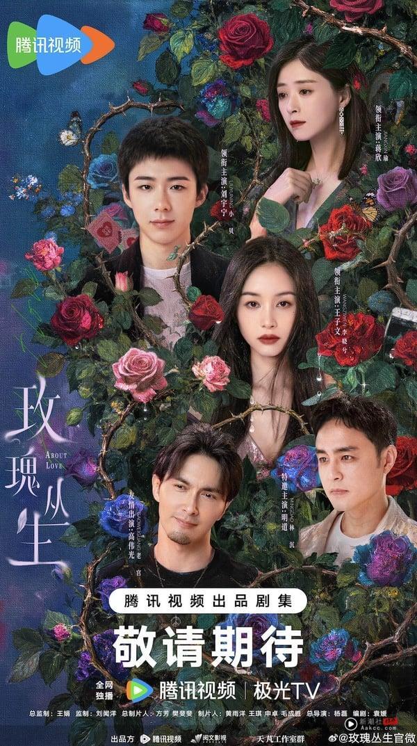 《书卷一梦》主演的下部待播剧：刘宇宁《玫瑰丛生》化身完美男友，李一桐成最美蜘蛛精 娱乐 图7张