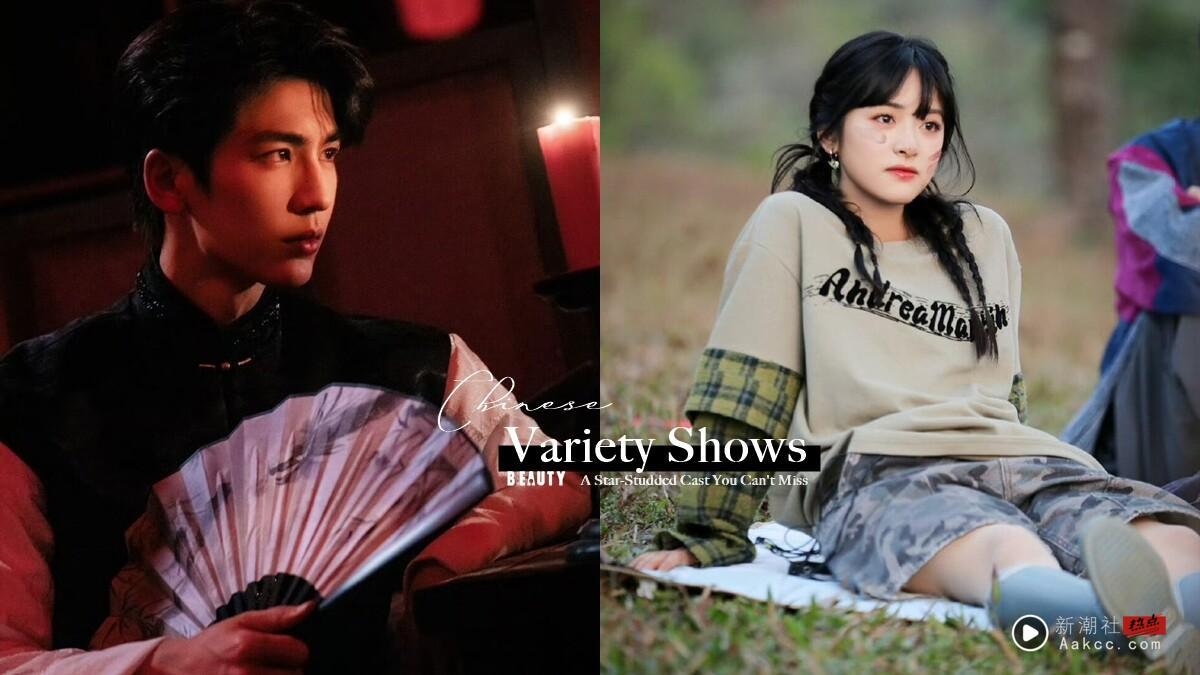 2025内地综艺推荐必追10部:《逐玉》《书卷一梦》主演合体,神仙卡司必追!