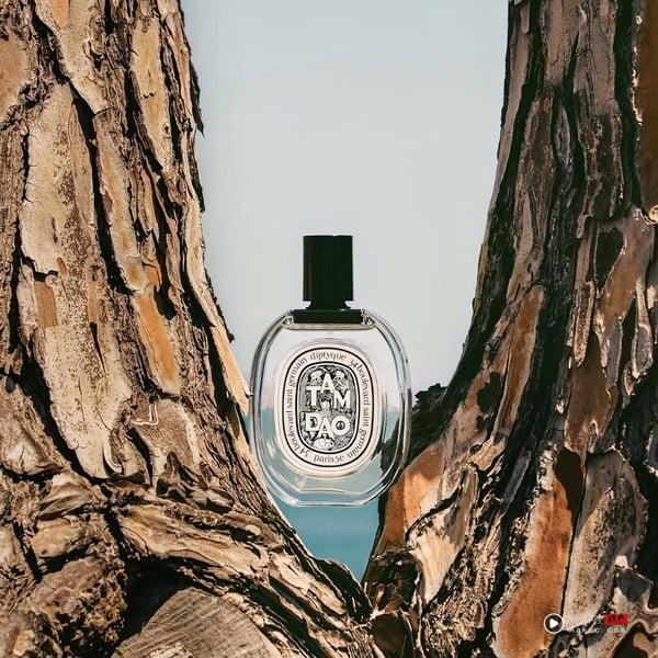 Diptyque香水推荐Top10：〈爵梦〉霸榜第一，持香度最高首选它、这款是隐藏热卖香 最新 图13张